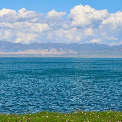 青海湖+拉脊山+日月山一日游【市区内可接】 青海湖+拉脊山+日月山一日游【市区内可接】