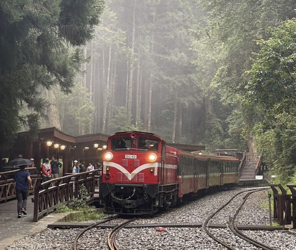 阿里山森林游乐区+奋起湖一日游【台中市区饭店出发】 阿里山森林游乐区+奋起湖一日游【台中市区饭店出发】