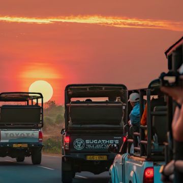 斯里兰卡雅拉国家公园Safari越野车探险一日游Yala接送 斯里兰卡雅拉国家公园Safari越野车探险一日游Yala接送