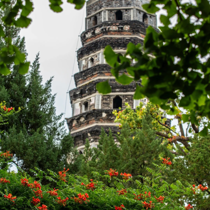 【包车游】虎丘山+拙政园+平江路历史街区/山塘街一日游 【包车游】虎丘山+拙政园+平江路历史街区/山塘街一日游