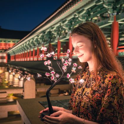 釜山出发|千年历史文化古都-庆州联合国教科文组织 (佛国寺) 釜山出发|千年历史文化古都-庆州联合国教科文组织 (佛国寺)