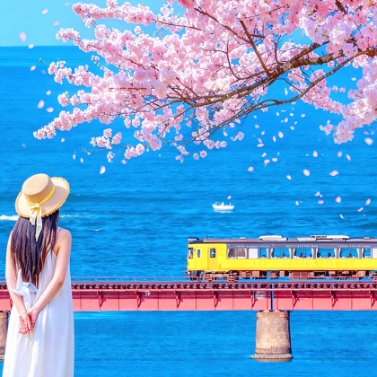 京都丹后海上列车+海之京都+伊根一日游,含列车费用可含船 京都丹后海上列车+海之京都+伊根一日游,含列车费用可含船