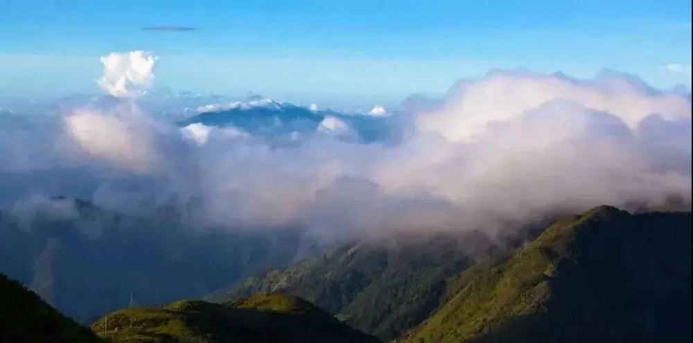 东方福利网 广州-云浮大云雾山旅游区一日游【登云浮高峰——广东"美