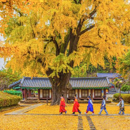 首尔出发:全州韩屋村+长泰山 首尔出发:全州韩屋村+长泰山