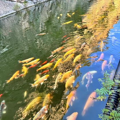本溪大石湖一日游·沈阳市区上门接送·2-6人小团 本溪大石湖一日游·沈阳市区上门接送·2-6人小团