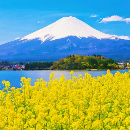 日本富士山+河口湖一日游