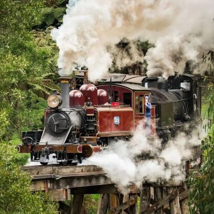 【可优惠! 玩转两大热门景点】普芬比利蒸汽火车+企鹅岛一日游 【可优惠! 玩转两大热门景点】普芬比利蒸汽火车+企鹅岛一日游