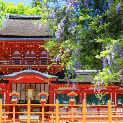 日本大阪鸟取柯南小镇一日游包车 中/英文司机 行程可定制 日本大阪鸟取柯南小镇一日游包车 中/英文司机 行程可定制
