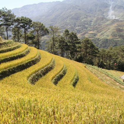 苗族村落——探索苗族文化 苗族村落——探索苗族文化