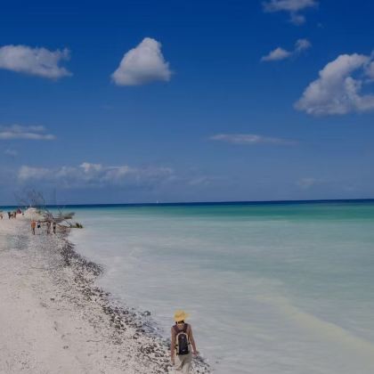 丹麦-默恩崖|壮美白垩纪地层-白色悬崖牛奶海-可定制 丹麦-默恩崖|壮美白垩纪地层-白色悬崖牛奶海-可定制
