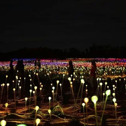 澳大利亚北领地Field of Light Uluru夜游