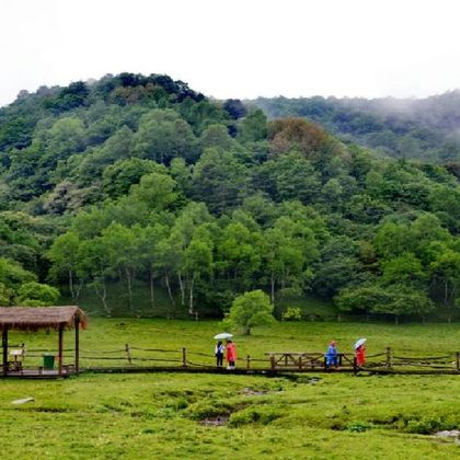 【皇家牧场】宝鸡大水川+灵宝峡一日游 【皇家牧场】宝鸡大水川+灵宝峡一日游