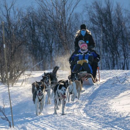挪威希尔克内斯狗拉雪橇之旅 挪威希尔克内斯狗拉雪橇之旅