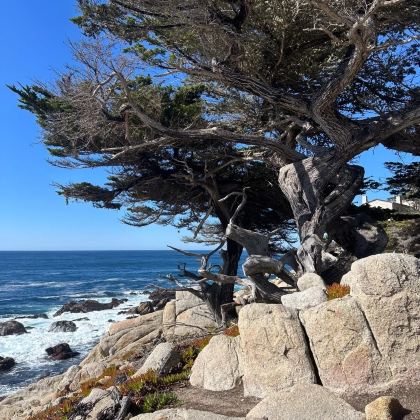 美国洛杉矶-丹麦村-蒙特雷-1号公路-旧金山-包车-精选 美国洛杉矶-丹麦村-蒙特雷-1号公路-旧金山-包车-精选