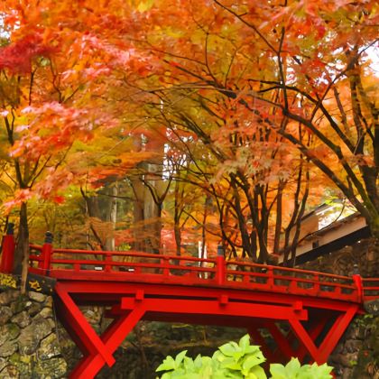 名古屋秋季赏红叶一日游:谷汲山华严寺+养老公园+清洲城 名古屋秋季赏红叶一日游:谷汲山华严寺+养老公园+清洲城