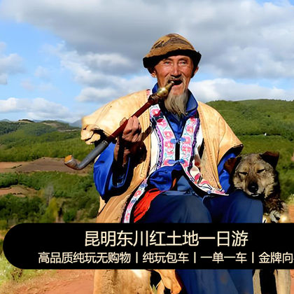 昆明东川红土地+乐谱凹+落霞沟+七彩坡+千年老龙树+锦绣园一日游 昆明东川红土地+乐谱凹+落霞沟+七彩坡+千年老龙树+锦绣园一日游