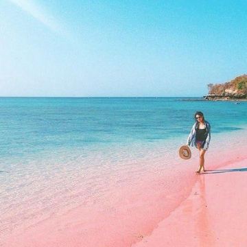 龙目岛Pink Beach - 一日包团探秘隐世天堂 龙目岛Pink Beach - 一日包团探秘隐世天堂