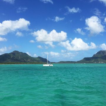 毛里求斯西北部庞普穆斯植物园+路易港蔻丹广场等包车一日游 毛里求斯西北部庞普穆斯植物园+路易港蔻丹广场等包车一日游