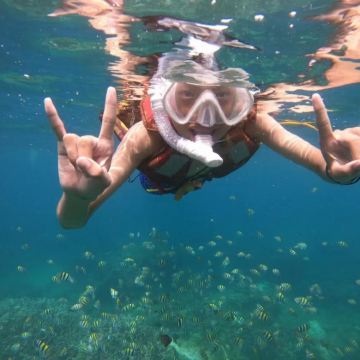 加井岛珊瑚礁不限时浮潜+摩托艇/香蕉船+趴板冲浪+水下拍摄 加井岛珊瑚礁不限时浮潜+摩托艇/香蕉船+趴板冲浪+水下拍摄