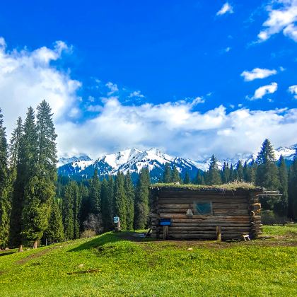 伊犁库尔德宁景区一日游【6人封顶+开车进景区+上门接送】 伊犁库尔德宁景区一日游【6人封顶+开车进景区+上门接送】