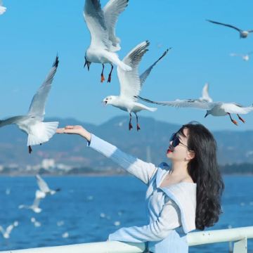 石林风景区+滇池一日游【观鸥季|5000+好评|金牌导游】 石林风景区+滇池一日游【观鸥季|5000+好评|金牌导游】