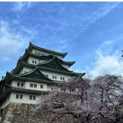 日本中部之旅【名古屋市区及周边游-中文专车/接机-定制行程】 日本中部之旅【名古屋市区及周边游-中文专车/接机-定制行程】