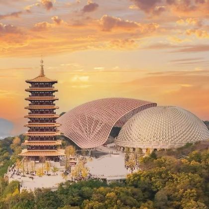 牛首山文化旅游区+中山陵+梧桐大道+美龄宫丨10点集合晚出发 牛首山文化旅游区+中山陵+梧桐大道+美龄宫丨10点集合晚出发