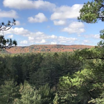 千岛群岛+斯卡堡悬崖一日私人专线 千岛群岛+斯卡堡悬崖一日私人专线