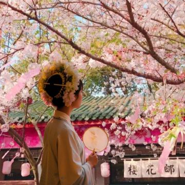 樱花季丨黄鹤楼+东湖+湖北省博+武大+赠轮渡 樱花季丨黄鹤楼+东湖+湖北省博+武大+赠轮渡