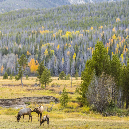 美国丹佛:洛矶山国家公园-中文专车一日游-酒店上门接送 美国丹佛:洛矶山国家公园-中文专车一日游-酒店上门接送