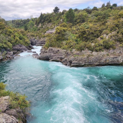 新西兰奥克兰-派希亚+岛屿湾可定制【中文专车-惬意舒适】 新西兰奥克兰-派希亚+岛屿湾可定制【中文专车-惬意舒适】