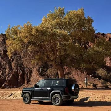 【越野车直进景区】阿克苏+新疆天山托木尔景区·大峡谷一日游 【越野车直进景区】阿克苏+新疆天山托木尔景区·大峡谷一日游
