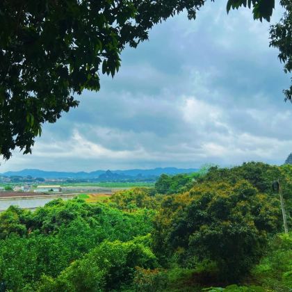 南宁往返武鸣伊岭岩+敢挂洞天坑+大明山包车1日游-不含门票 南宁往返武鸣伊岭岩+敢挂洞天坑+大明山包车1日游-不含门票