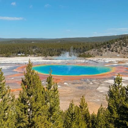 黄石猛犸泉+诺里斯间歇泉+老忠实间歇泉+大棱镜【包车一日游】 黄石猛犸泉+诺里斯间歇泉+老忠实间歇泉+大棱镜【包车一日游】