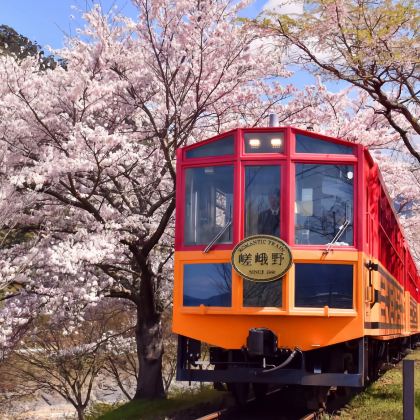 京都嵯峨野小火车+保津川漂流+岚山citywalk一日游 京都嵯峨野小火车+保津川漂流+岚山citywalk一日游