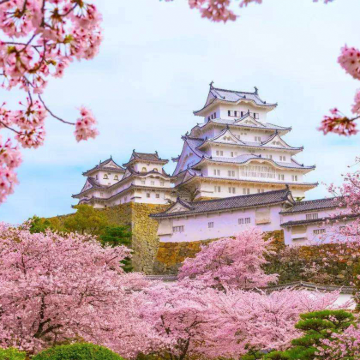 赏樱季小团 神户姬路城+六甲山+有马温泉街一日游 赏樱季小团 神户姬路城+六甲山+有马温泉街一日游