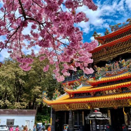 台湾 台中清泉岗机场酒店火车站点对点接送+/包车/定制行程 台湾 台中清泉岗机场酒店火车站点对点接送+/包车/定制行程