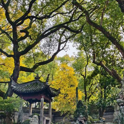 宁波citywalk半日游【天一阁+月湖+高丽使馆+鼓楼】 宁波citywalk半日游【天一阁+月湖+高丽使馆+鼓楼】