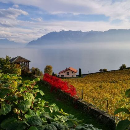 精致慢生活与田园风光之旅 精致慢生活与田园风光之旅