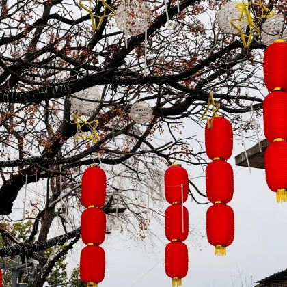 韶关出发包车10小时一日游|快速打卡珠玑古巷+梅关古道双线游 韶关出发包车10小时一日游|快速打卡珠玑古巷+梅关古道双线游