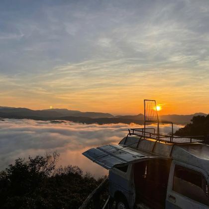 大叻云海日出之旅:邂逅茶山与草莓园的卡达特 大叻云海日出之旅:邂逅茶山与草莓园的卡达特