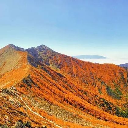 西安+五丈原诸葛亮庙+太白山国家森林公园一日游 西安+五丈原诸葛亮庙+太白山国家森林公园一日游