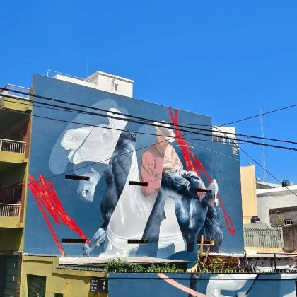 阿根廷布宜诺斯艾利斯五月广场+博卡区+雷科莱塔公墓/中文包车 阿根廷布宜诺斯艾利斯五月广场+博卡区+雷科莱塔公墓/中文包车