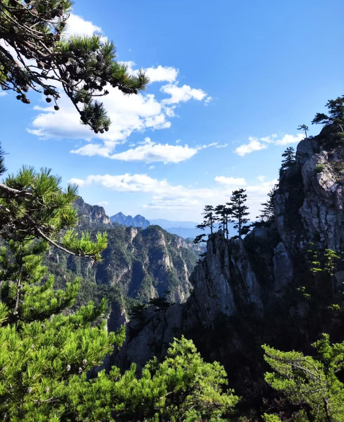 西峡县城包车往返|老界岭一日游(多车型可选) 西峡县城包车往返|老界岭一日游(多车型可选)