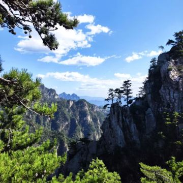 西峡县城包车往返|老界岭一日游(多车型可选) 西峡县城包车往返|老界岭一日游(多车型可选)