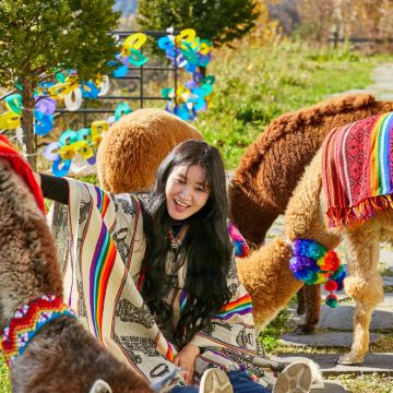 韩国南怡岛+羊驼牧场+金裕贞江村铁路自行车日游 (首尔出发) 韩国南怡岛+羊驼牧场+金裕贞江村铁路自行车日游 (首尔出发)