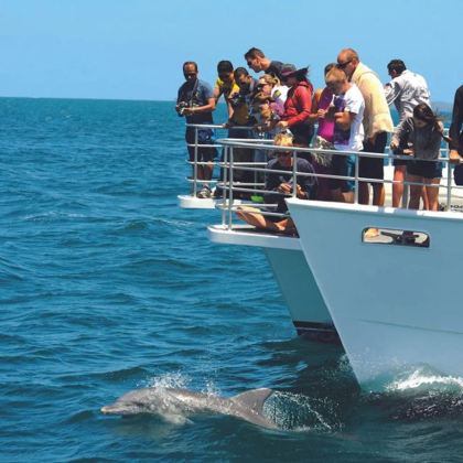 澳大利亚悉尼出发杰维斯湾中文一日游/观海豚游船+神奇喷水孔 澳大利亚悉尼出发杰维斯湾中文一日游/观海豚游船+神奇喷水孔