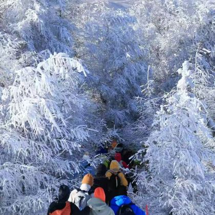 【徒步踏雪】桦皮岭9公里徒步穿越纯玩1日游 【徒步踏雪】桦皮岭9公里徒步穿越纯玩1日游