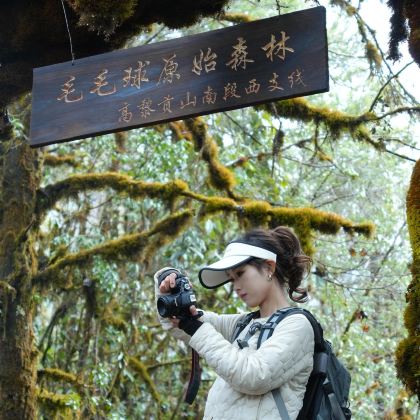 高黎贡山南段西支线毛毛球原始森林7公里轻徒步+毛毛球森林厨房 高黎贡山南段西支线毛毛球原始森林7公里轻徒步+毛毛球森林厨房