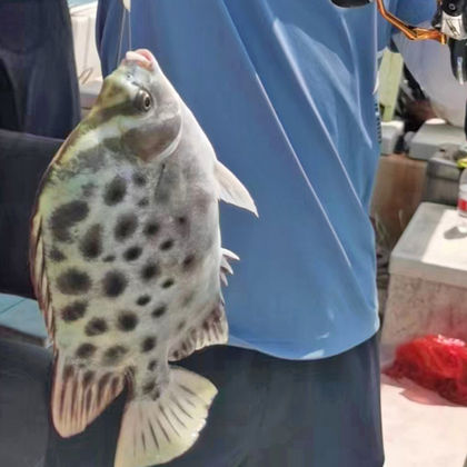 海南海口假日海滩一日游